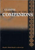 Glimpse At the Way of the Companion